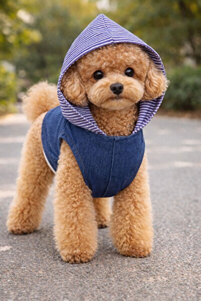 Berliva Home Striped Hooded Denim Sleeveless Dog Outfit – Stylish Design for ...