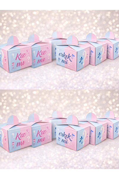 Patladı Gitti Gender Learning Delight Box – Is It a Girl or a Boy? (25 Pieces)