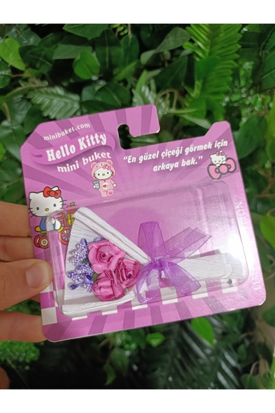 Black Rose Hello Kitty Mini Buket – Sevimli Hediyelik aynali