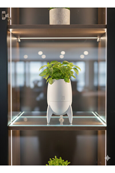 AshenForge Luma Ayaklı Dekoratif Masa Üstü Saksı