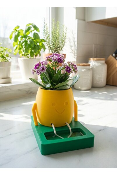 ProLaz İpli Sevimli Masaüstü Saksı – Dekoratif Figür Tasarım