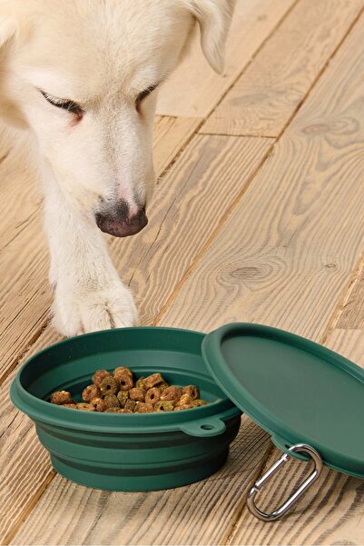 Tchibo وعاء طعام قابل للطي للحيوانات الأليفة مصنوع من السيليكون، أخضر داكن