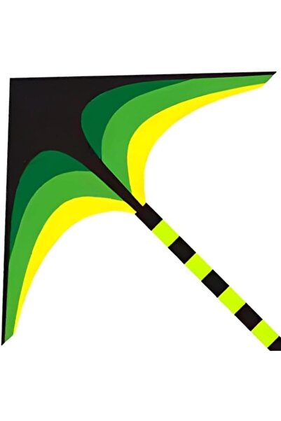 Maanys طائرة ورقية، لعبة طيران كبيرة 160×80 سم، ألعاب شاطئية للأولاد والبنات،...