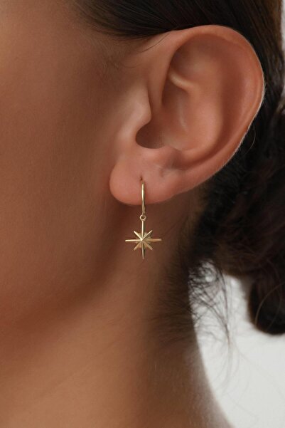 Arpaş 14 Ayar Kutup Yıldızı Altın Halka Küpe