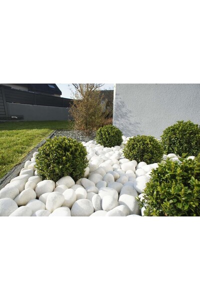 Lin Dekor Beyaz Dolomit Taş 6-10 cm 10 kg Çakıl Taşı Bahçe Süs Taşı Peyzaj Ta...