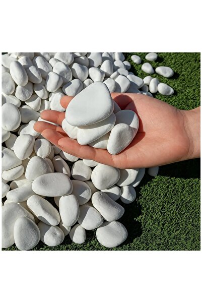 Lin Dekor Beyaz Dolomit Taş 2-4 cm 5 kg Çakıl Taşı Bahçe Süs Taşı Peyzaj Taşı...
