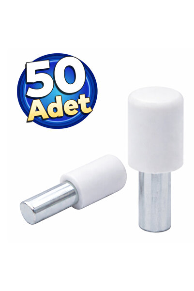 DESIPHON Plastik Başlı Geçmeli Metal Raf Altı Pimi Dolap İçi Raf Tutucu Çivis...