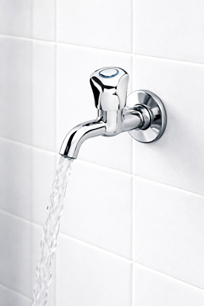 MUSLUQ فولونو أرا موس