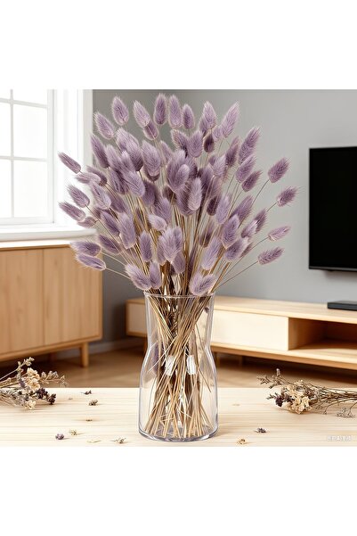 Dekora Çiçek باقة زهور جيلرُوس الأرجوانية من عشب القطن المجفف بذيل الأرنب، 80...