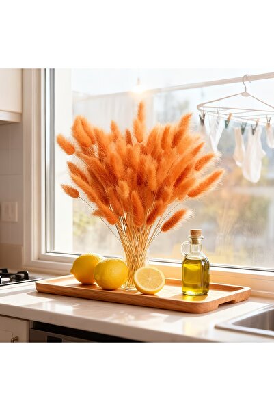 Dekora Çiçek باقة زهور جيلرُوس البرتقالية المجففة من عشب القطن، 80 فرعًا، لتز...