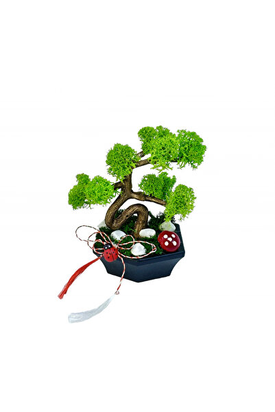 Eventissimi Mini Bonsai cu licheni (Verde)