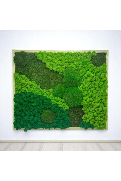 Eventissimi Tablou cu muschi bombati, muschi plati si licheni stabilizati 64x...