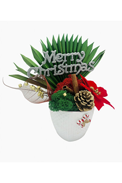 Eventissimi Aranjament floral, 26 cm, licheni stabilizați, vas ceramic, auriu