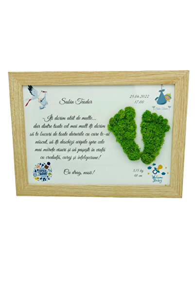 Eventissimi Aranjament floral, 19 cm, licheni stabilizați, vas ceramic, multi...