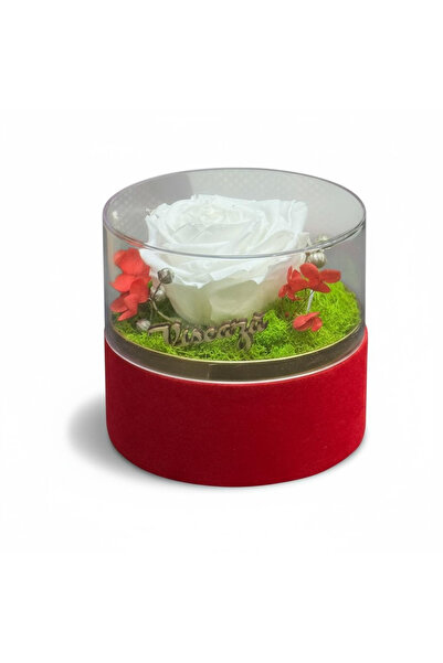 Eventissimi Σύνθεση με κρυογονικό τριαντάφυλλο, σε Βελούδο κουτί με αφαιρούμε...