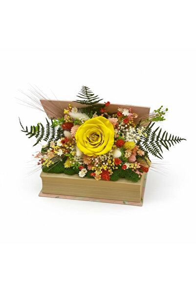 Eventissimi Floral arrangement, 17 cm, stabilized lichens, cryogenic plants, ...