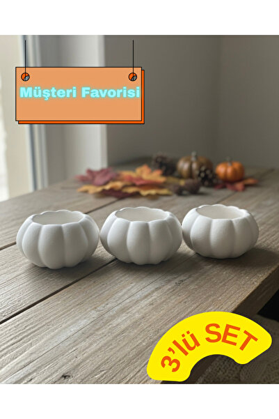 Dekor Kabak Sukulent Ve Kaktüs Saksısı 3’lü Kabak Saksısı Dekoratif Saksı Taş...