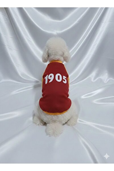 Patipin Fan Collection 1905 Written Dog Outfit - Yellow Red Garment Suitable ...