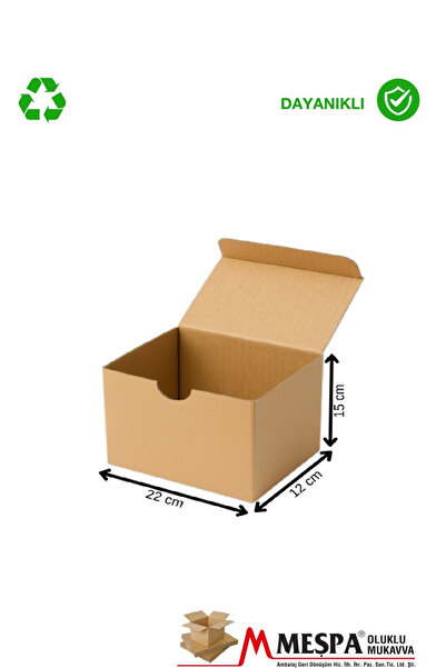 MEŞPA AMBALAJ 22x12x15 cm Kahverengi Kargo Kutusu 25 ADET – Karton Ürün Gönde...