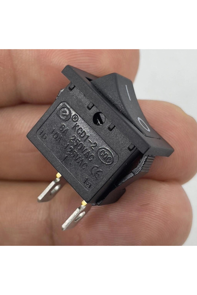 Swion IC-124 Mini Işıksız Yaylı Anahtar 2P Off-Mom Siyah