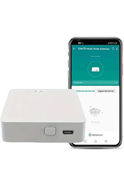 UanTii بوابة تويا متعددة الأوضاع، جسر زيجبي سلكي