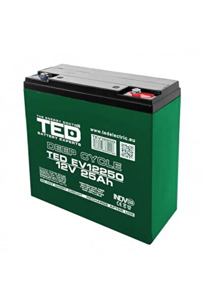 TED Electric Baterie pentru vehicul electric de 12V