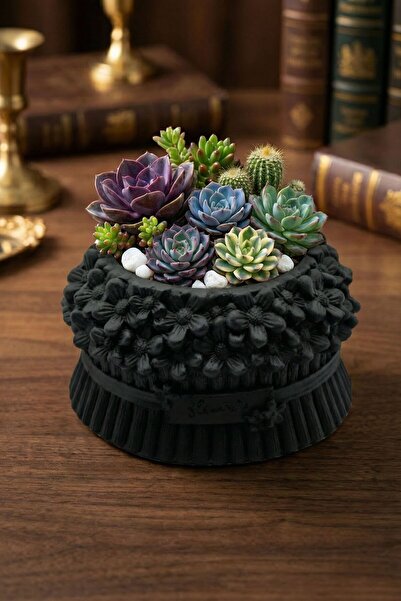 Evene Mini Çiçek Saksı Küçük Sukulent Siyah Renk Kaktüs Saksısı Model 3
