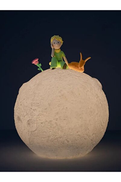 GRUPO ERIK The Little Prince Lamba
