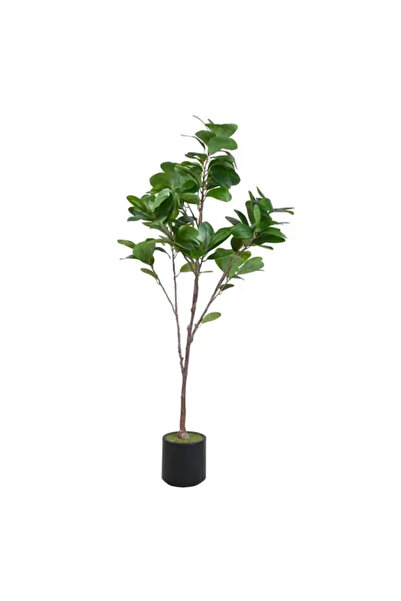 GENERIC4 شجرة فيكس اصطناعية - ارتفاع 1.65 متر