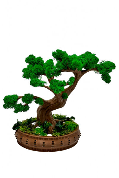 Eventissimi Flower arrangement, 28 cm, stabilized lichens, cryogenic plants, ...