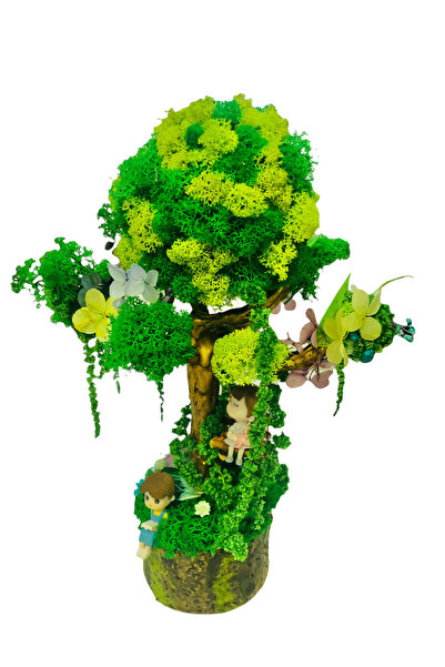 Eventissimi Aranjament floral, 30 cm, licheni stabilizați, plante criogenate,...