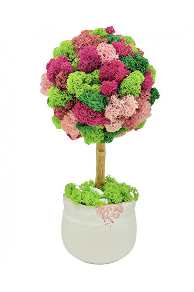 Eventissimi Aranjament floral 27 cm cu licheni naturali stabilizați în vas ce...