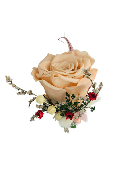 Eventissimi Rose breast flower, salmon cryogenic rose, cockade