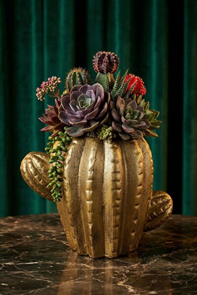 Evene Saksı Dekoratif Saksı Kaktüs Saksısı Sukulent Saksısı Küçük Saksı Model...