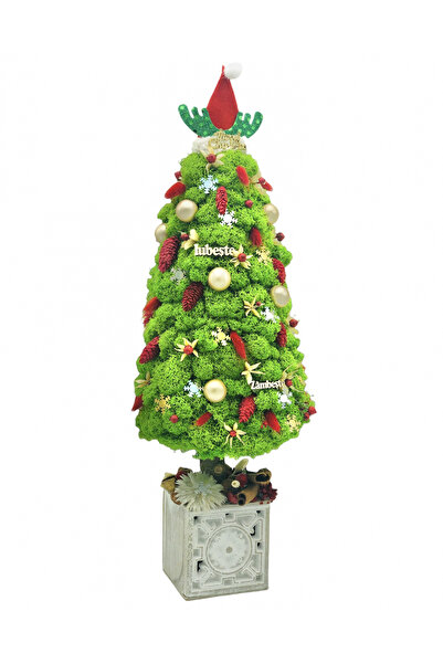 Eventissimi Floral arrangement, 55 cm, stabilized lichens, cryogenic plants, ...