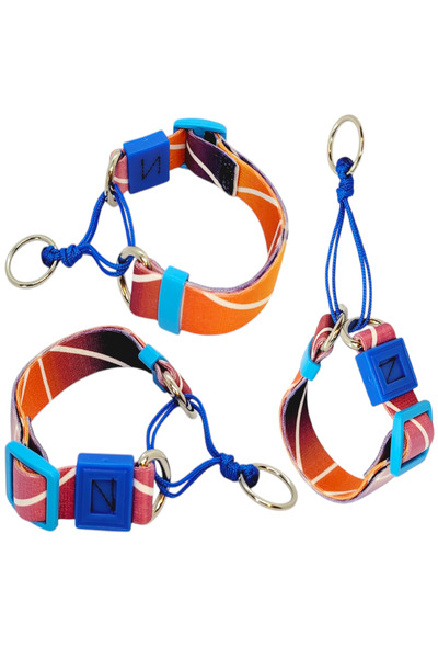 VSLT HANDMADE Small Breed Martingale Training Leash. Your Dog's Information a...