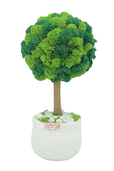 Eventissimi Floral arrangement, 28 cm, stabilized lichens, cryogenic & dried ...