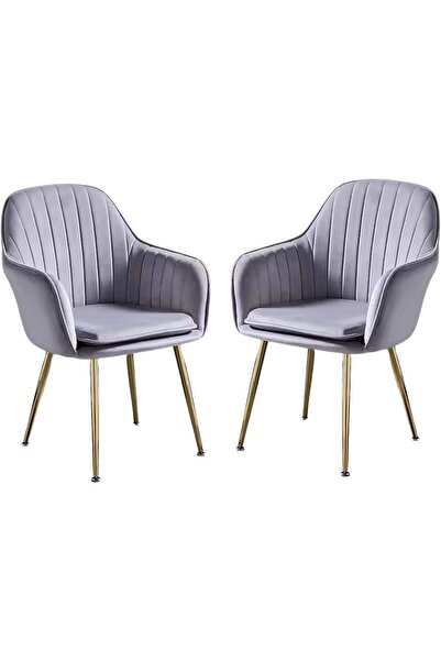 Maanys Modern Velvet Dining Chairs (Set of 2)