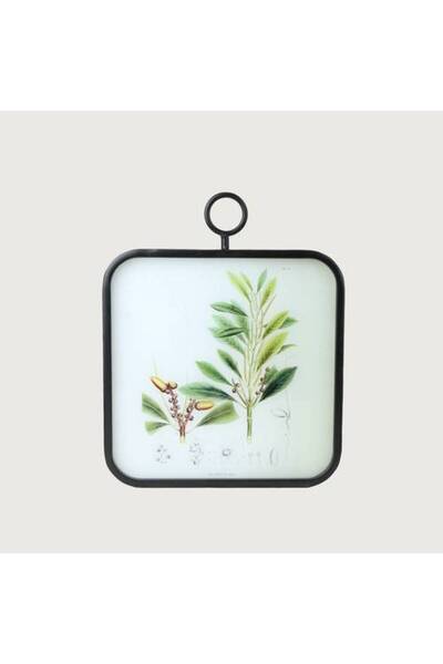 Generic Set of 4 Wall Art Plants