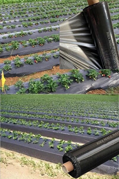 Rika 20 Metre Malç Naylonu, 4 Yıllık Çilek Ve Sebze Malç Naylonu