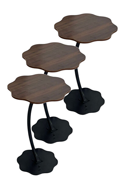 co arma Set of 3 round side tables, a modern C-shaped coffee table with a woo...