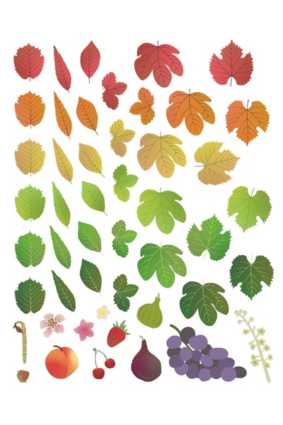 Loolipo Set of 576 reusable stickers - The 4 seasons