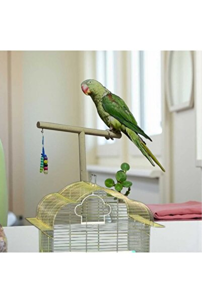 ÇEÇEN HOME (19X10Cm) Natural Wooden Cage Top Parrot Bird Perch t Perch
