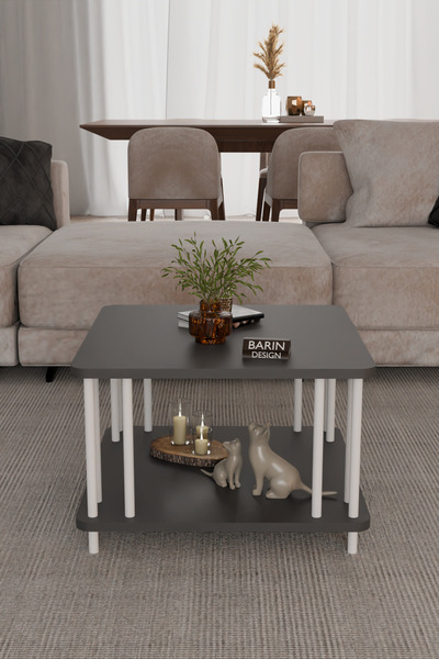 BARIN DESIGN Modern Kare Orta Sehpa Çift Katlı Beyaz Metal Ayaklı Salon, Ofis...