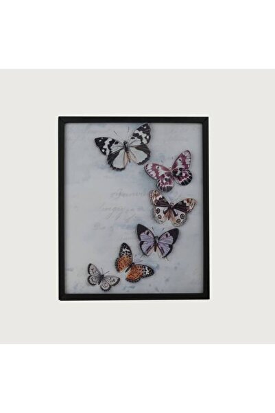 Generic Butterfly Wall Art