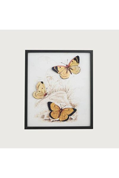 Generic Butterfly Wall Art