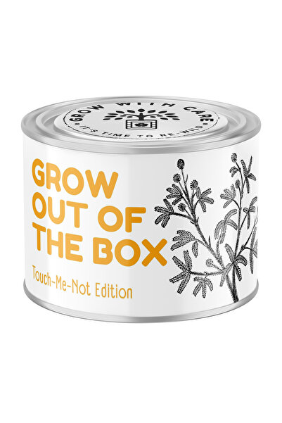 Story Box Kit de plantare, Story Box, Mimosa pudica, ghiveci ceramic, seminte...