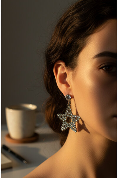 takimaster Silver Color Zircon Stone Large Star Figured Steel Earrings