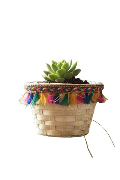 Premium وعاء زراعة صغير مصنوع يدويًا من السلال المنسوجة مع شرابات ملونة