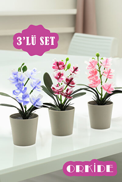 BERMİRA Home Collection 3 Adet Dekoratif Orkide Mini Çiçek Saksılı Çiçek Süs ...